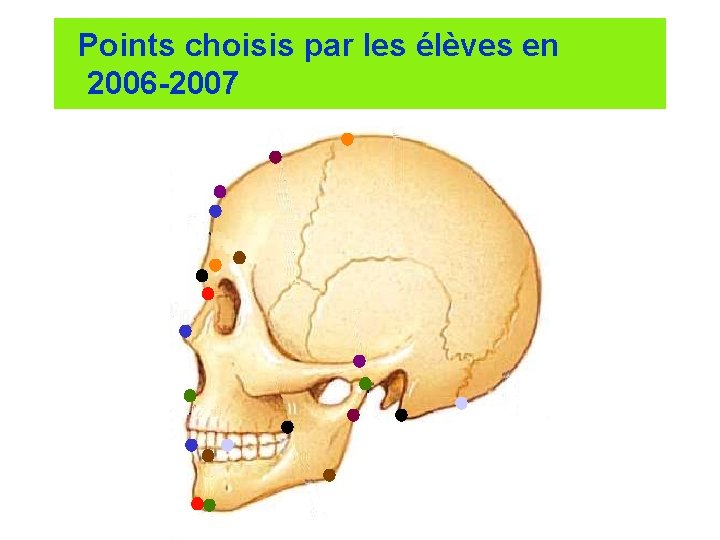 Points choisis par les élèves en 2006 -2007 