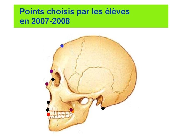 Points choisis par les élèves en 2007 -2008 