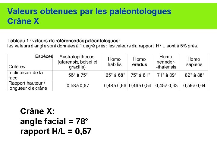 Valeurs obtenues par les paléontologues Crâne X: angle facial = 78° rapport H/L =