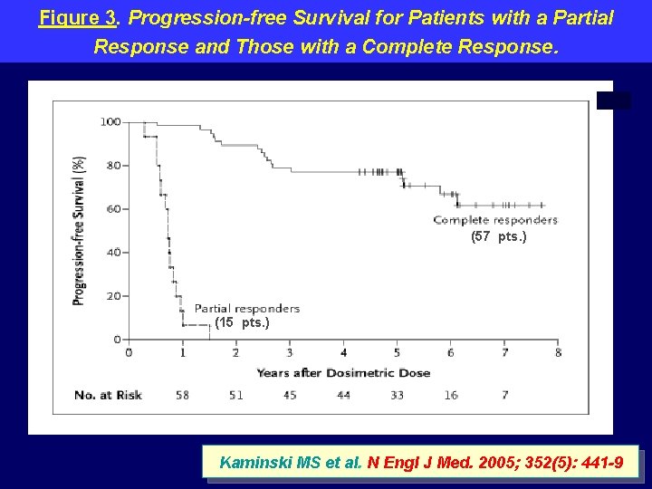 Figure 3. Progression-free Survival for Patients with a Partial Response and Those with a