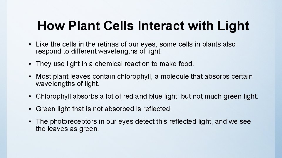 How Plant Cells Interact with Light • Like the cells in the retinas of