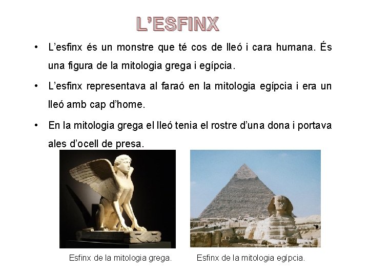 L’ESFINX • L’esfinx és un monstre que té cos de lleó i cara humana.