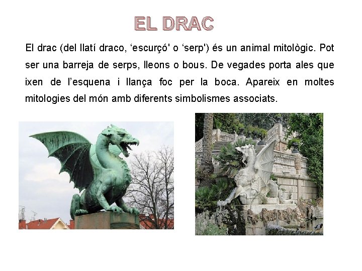 EL DRAC El drac (del llatí draco, ‘escurçó' o ‘serp') és un animal mitològic.