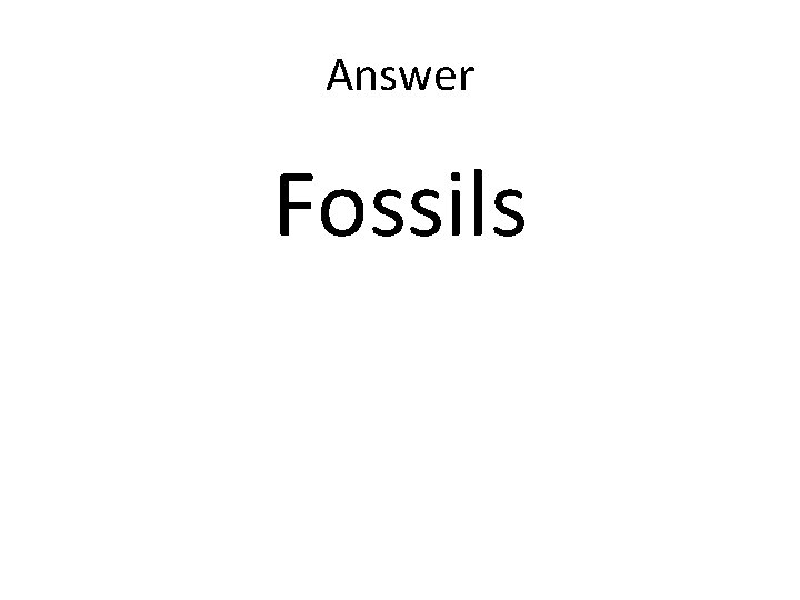 Answer Fossils Answer Fossils