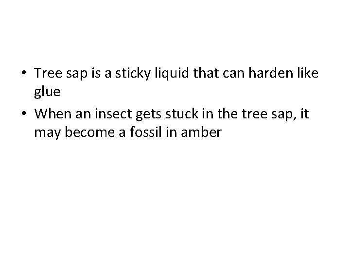 • Tree sap is a sticky liquid that can harden like glue • • Tree sap is a sticky liquid that can harden like glue •