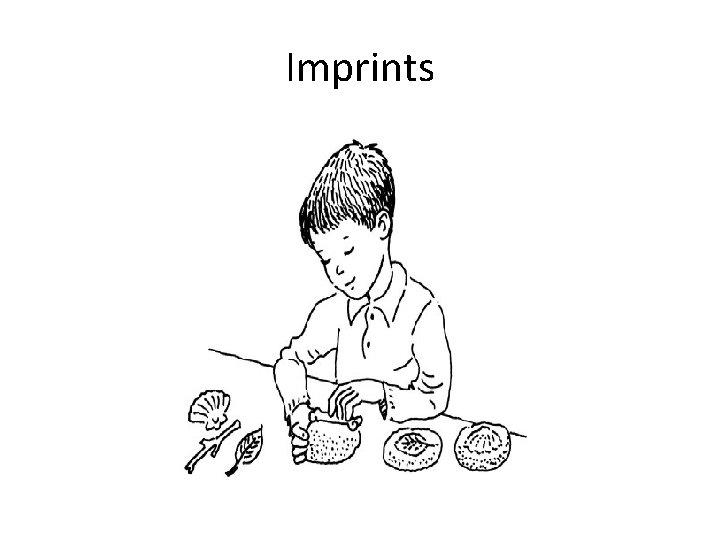 Imprints Imprints