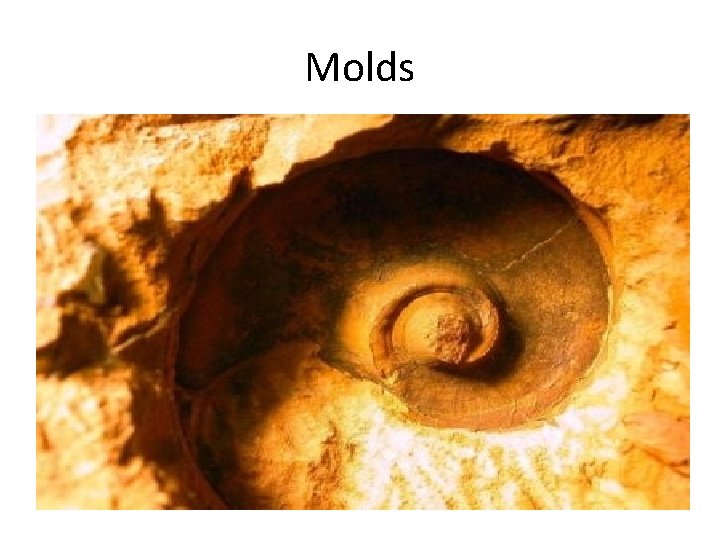 Molds Molds
