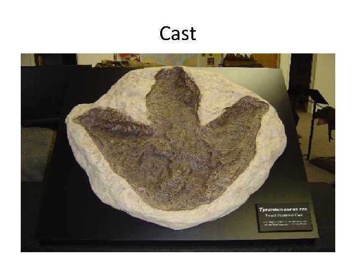 Cast Cast