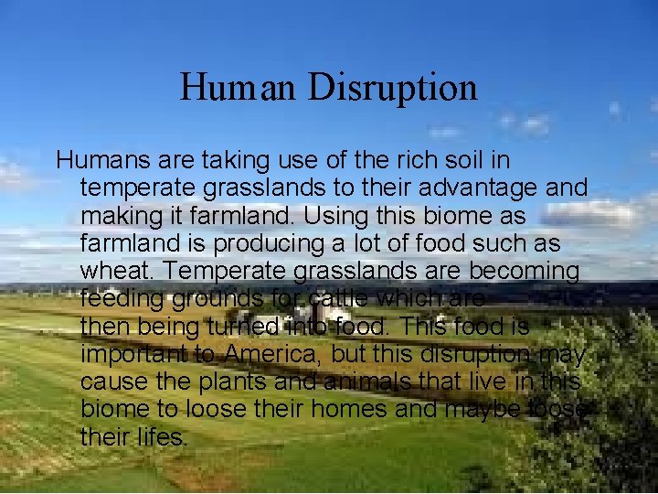 Human Disruption Humans are taking use of the rich soil in temperate grasslands to
