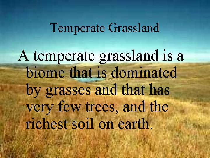 Temperate Grassland A temperate grassland is a biome that is dominated by grasses and