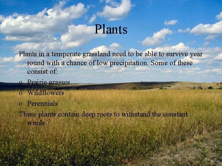 Plants in a temperate grassland need to be able to survive year round with