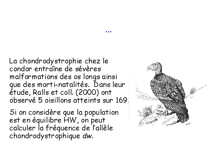 … La chondrodystrophie chez le condor entraîne de sévères malformations des os longs ainsi