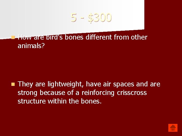 5 - $300 n How are bird’s bones different from other animals? n They