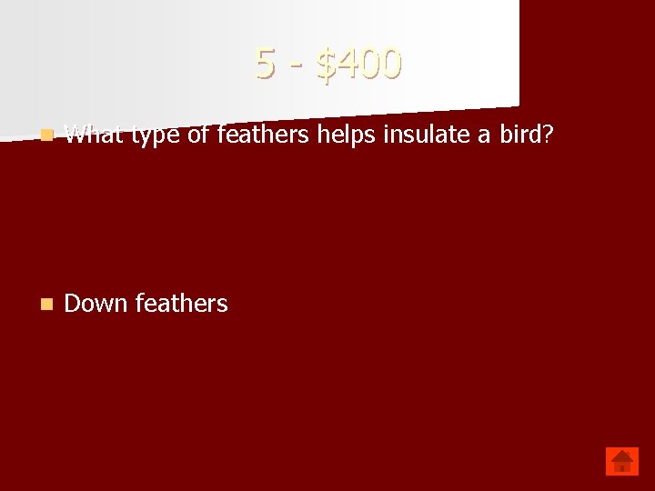 5 - $400 n What type of feathers helps insulate a bird? n Down