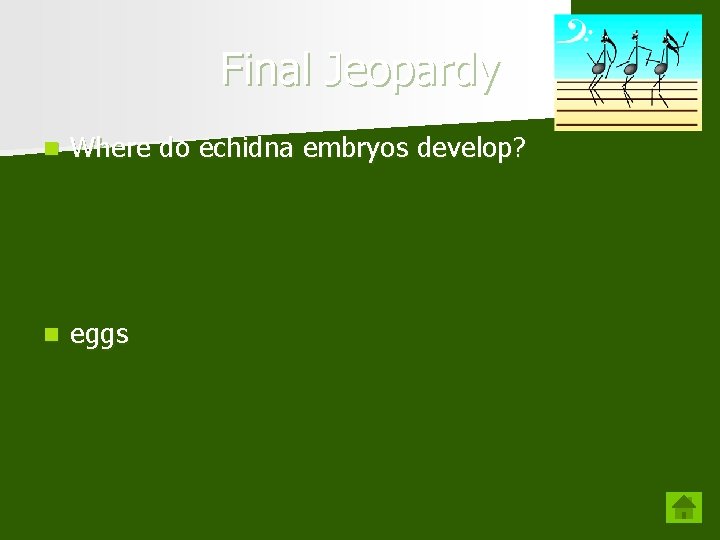 Final Jeopardy n Where do echidna embryos develop? n eggs 