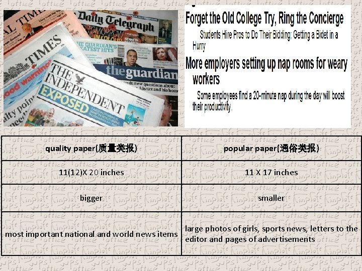 quality paper(质量类报) popular paper(通俗类报) 11(12)X 20 inches 11 X 17 inches bigger smaller most