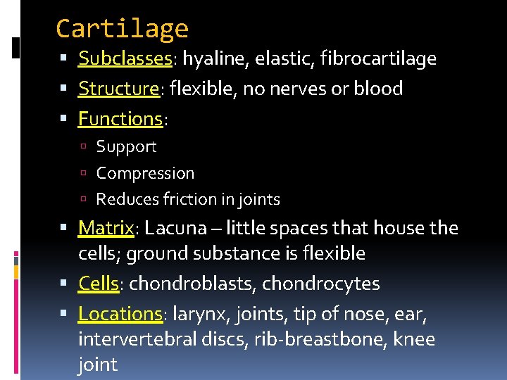Cartilage Subclasses: hyaline, elastic, fibrocartilage Structure: flexible, no nerves or blood Functions: Support Compression Cartilage Subclasses: hyaline, elastic, fibrocartilage Structure: flexible, no nerves or blood Functions: Support Compression