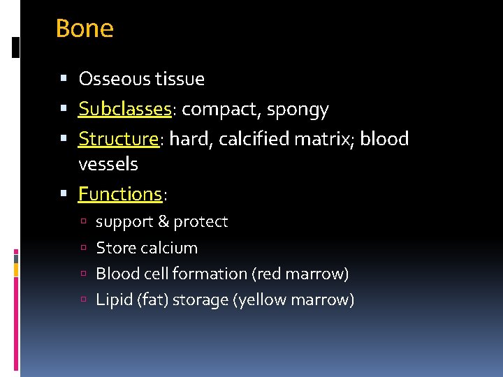 Bone Osseous tissue Subclasses: compact, spongy Structure: hard, calcified matrix; blood vessels Functions: support Bone Osseous tissue Subclasses: compact, spongy Structure: hard, calcified matrix; blood vessels Functions: support