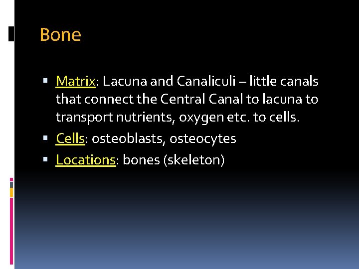 Bone Matrix: Lacuna and Canaliculi – little canals that connect the Central Canal to Bone Matrix: Lacuna and Canaliculi – little canals that connect the Central Canal to