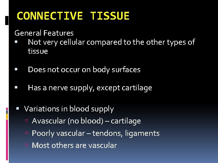 CONNECTIVE TISSUE General Features Not very cellular compared to the other types of tissue CONNECTIVE TISSUE General Features Not very cellular compared to the other types of tissue