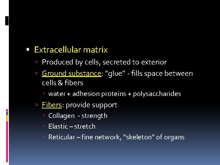 Extracellular matrix Produced by cells, secreted to exterior Ground substance: “glue” - fills Extracellular matrix Produced by cells, secreted to exterior Ground substance: “glue” - fills