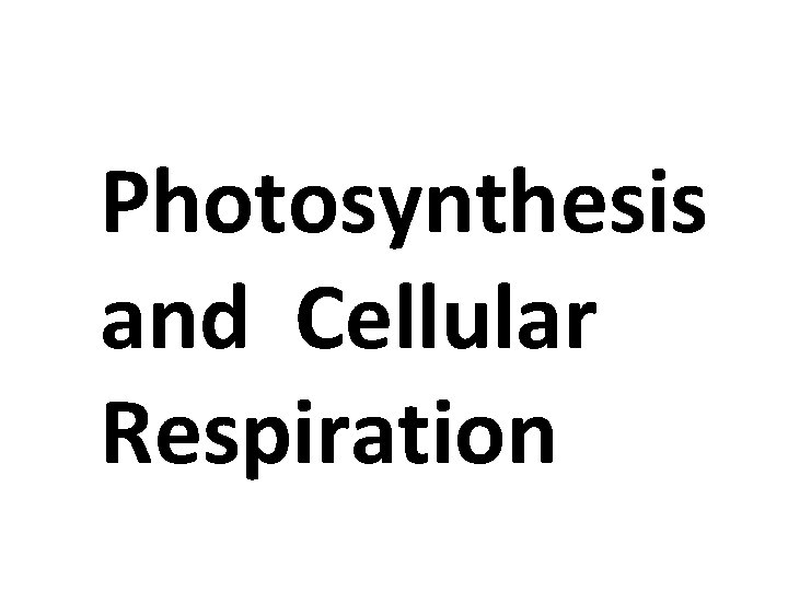 Photosynthesis and Cellular Respiration 
