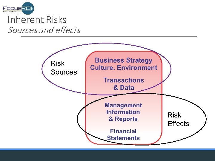 Inherent Risks Sources and effects Risk Sources Risk Effects 