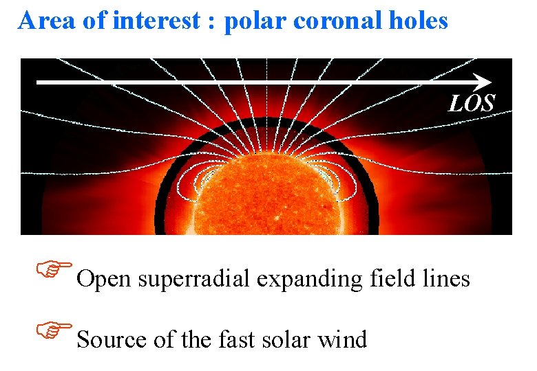 Area of interest : polar coronal holes LOS FOpen superradial expanding field lines FSource