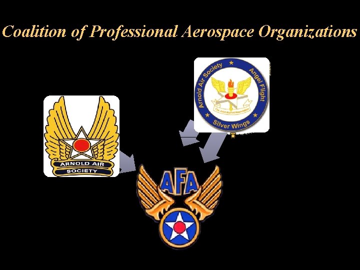 Coalition of Professional Aerospace Organizations 