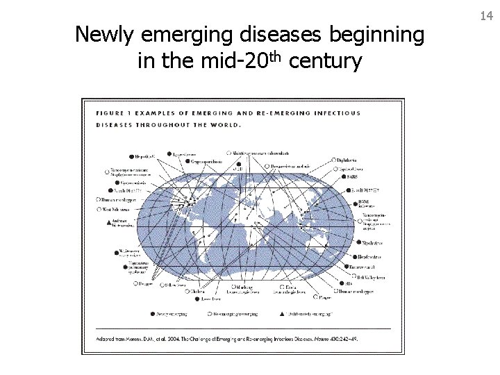 Newly emerging diseases beginning in the mid-20 th century 14 