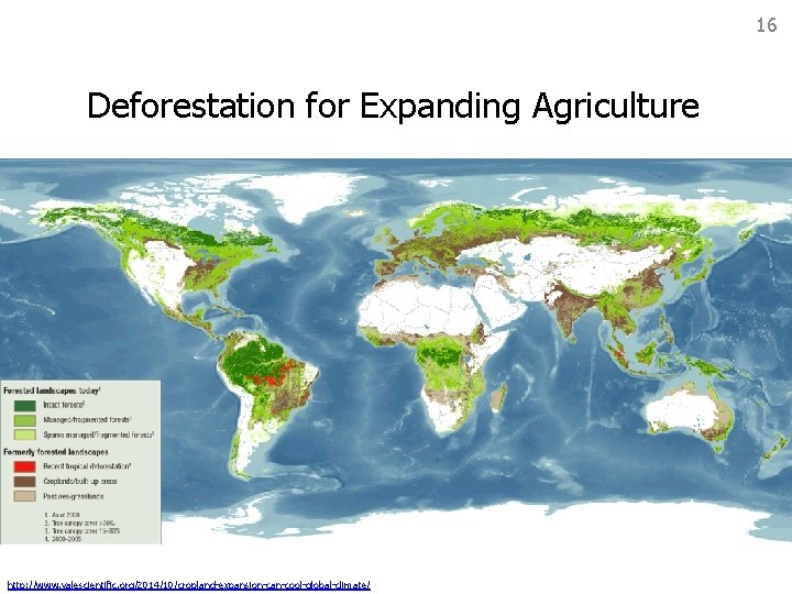 16 Deforestation for Expanding Agriculture http: //www. yalescientific. org/2014/10/cropland-expansion-can-cool-global-climate/ 