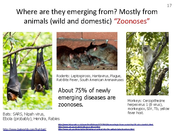Where are they emerging from? Mostly from animals (wild and domestic) “Zoonoses” 17 Rodents: