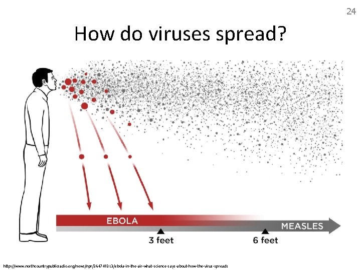 24 How do viruses spread? http: //www. northcountrypublicradio. org/news/npr/364749313/ebola-in-the-air-what-science-says-about-how-the-virus-spreads 