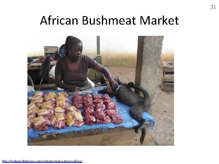 31 African Bushmeat Market http: //midwestdiplomacy. com/category/sub-saharan-africa/ 