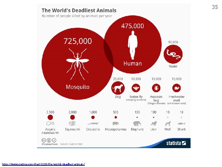 35 https: //www. statista. com/chart/2203/the-worlds-deadliest-animals/ 