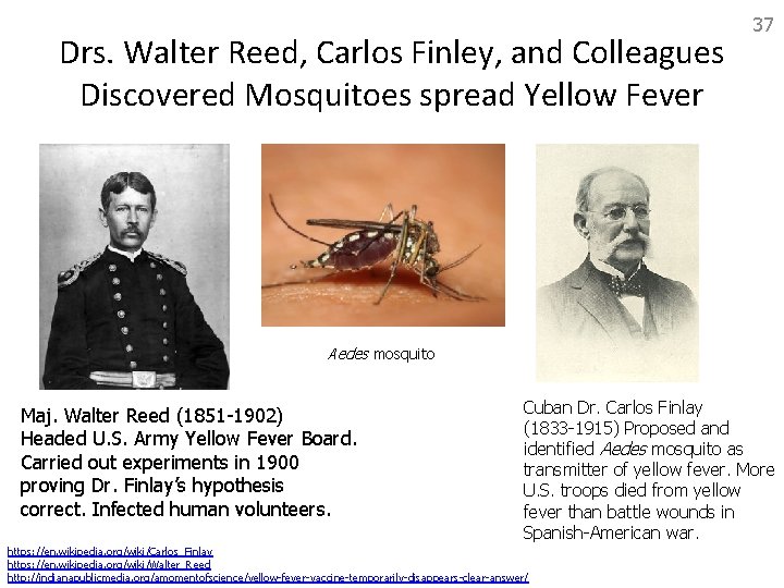 Drs. Walter Reed, Carlos Finley, and Colleagues Discovered Mosquitoes spread Yellow Fever 37 Aedes