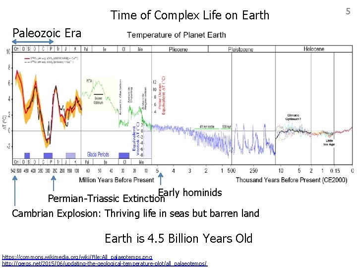 Time of Complex Life on Earth Paleozoic Era Early hominids Permian-Triassic Extinction Cambrian Explosion: