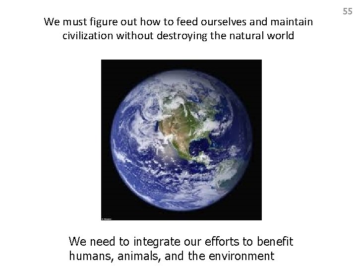We must figure out how to feed ourselves and maintain civilization without destroying the