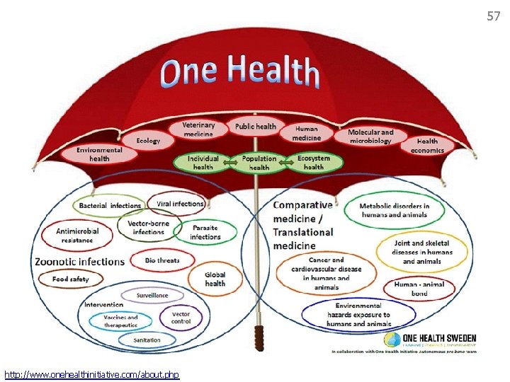 57 http: //www. onehealthinitiative. com/about. php 