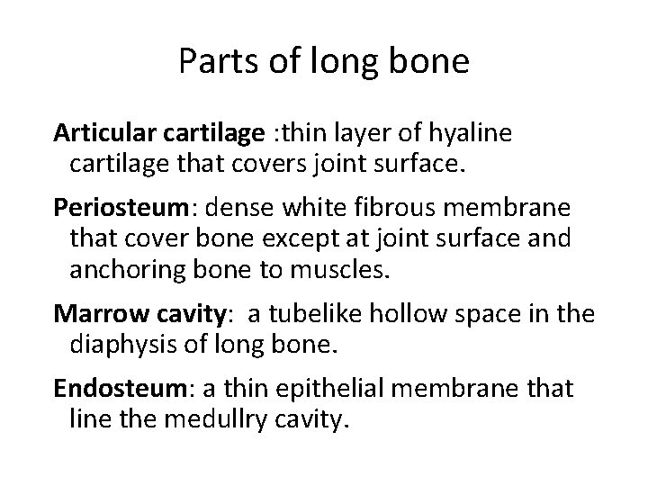 Parts of long bone Articular cartilage : thin layer of hyaline cartilage that covers