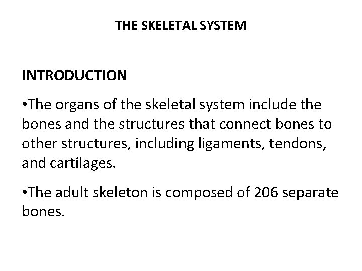 THE SKELETAL SYSTEM INTRODUCTION • The organs of the skeletal system include the bones