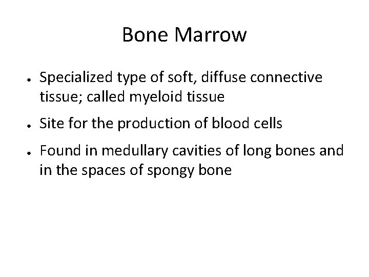 Bone Marrow ● ● ● Specialized type of soft, diffuse connective tissue; called myeloid