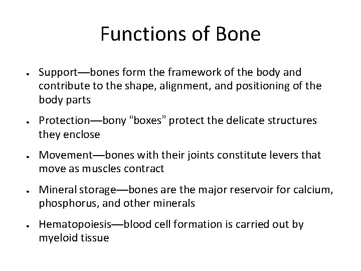 Functions of Bone ● ● ● Support—bones form the framework of the body and