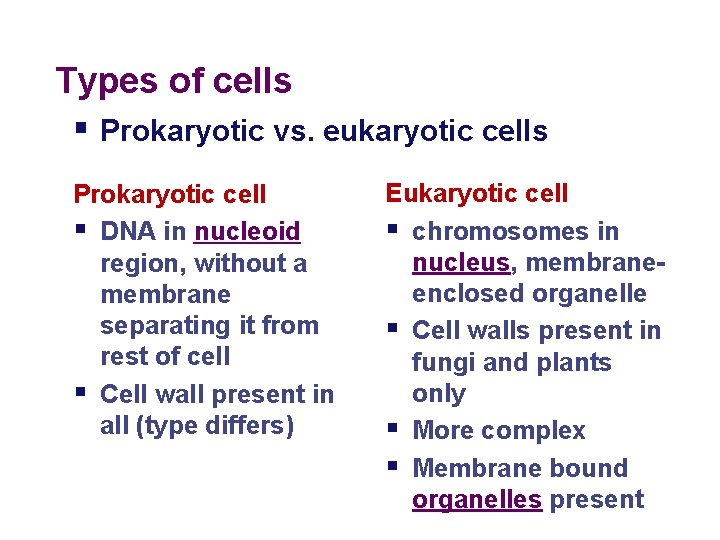 Types of cells § Prokaryotic vs. eukaryotic cells Prokaryotic cell § DNA in nucleoid