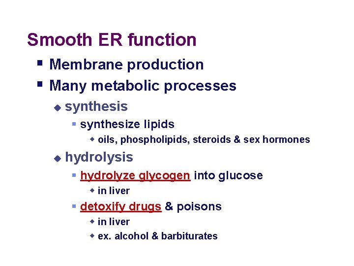 Smooth ER function § Membrane production § Many metabolic processes u synthesis § synthesize