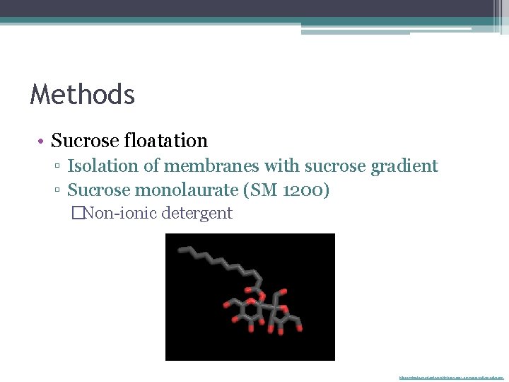 Methods • Sucrose floatation ▫ Isolation of membranes with sucrose gradient ▫ Sucrose monolaurate
