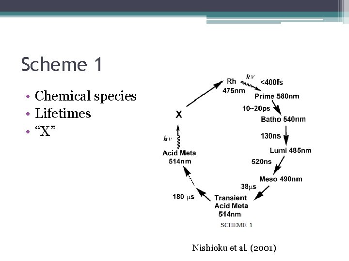 Scheme 1 • Chemical species • Lifetimes • “X” Nishioku et al. (2001) 