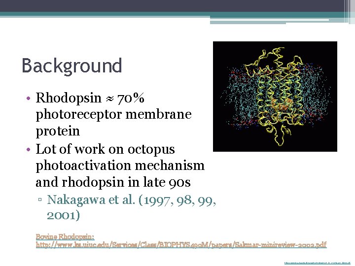 Background • Rhodopsin ≈ 70% photoreceptor membrane protein • Lot of work on octopus