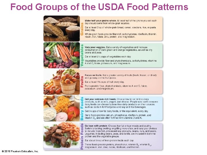 Food Groups of the USDA Food Patterns © 2015 Pearson Education, Inc. 