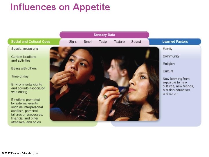 Influences on Appetite © 2015 Pearson Education, Inc. 